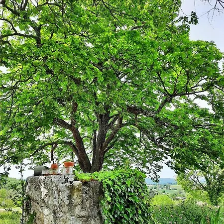 Le Marronnier Niozelles